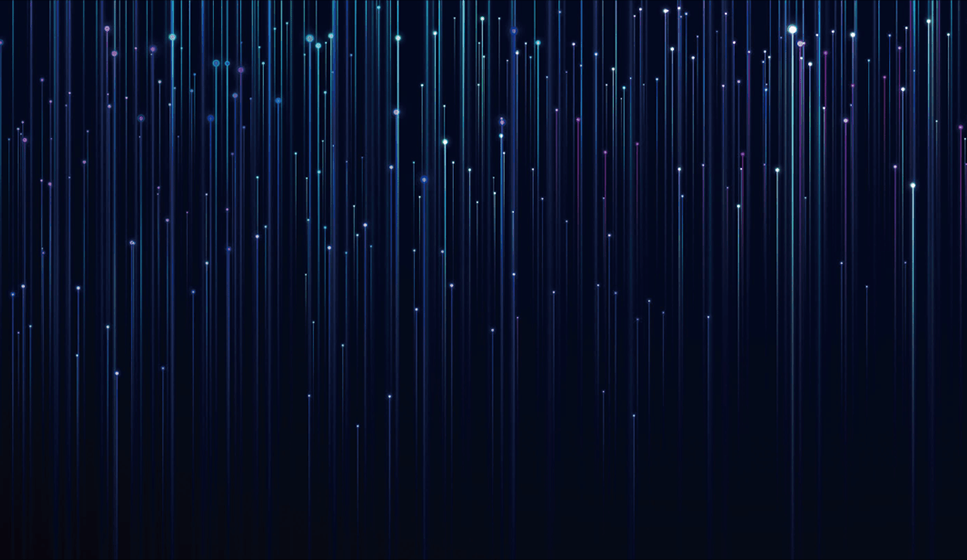 プライバシーポリシー（個人情報保護方針）